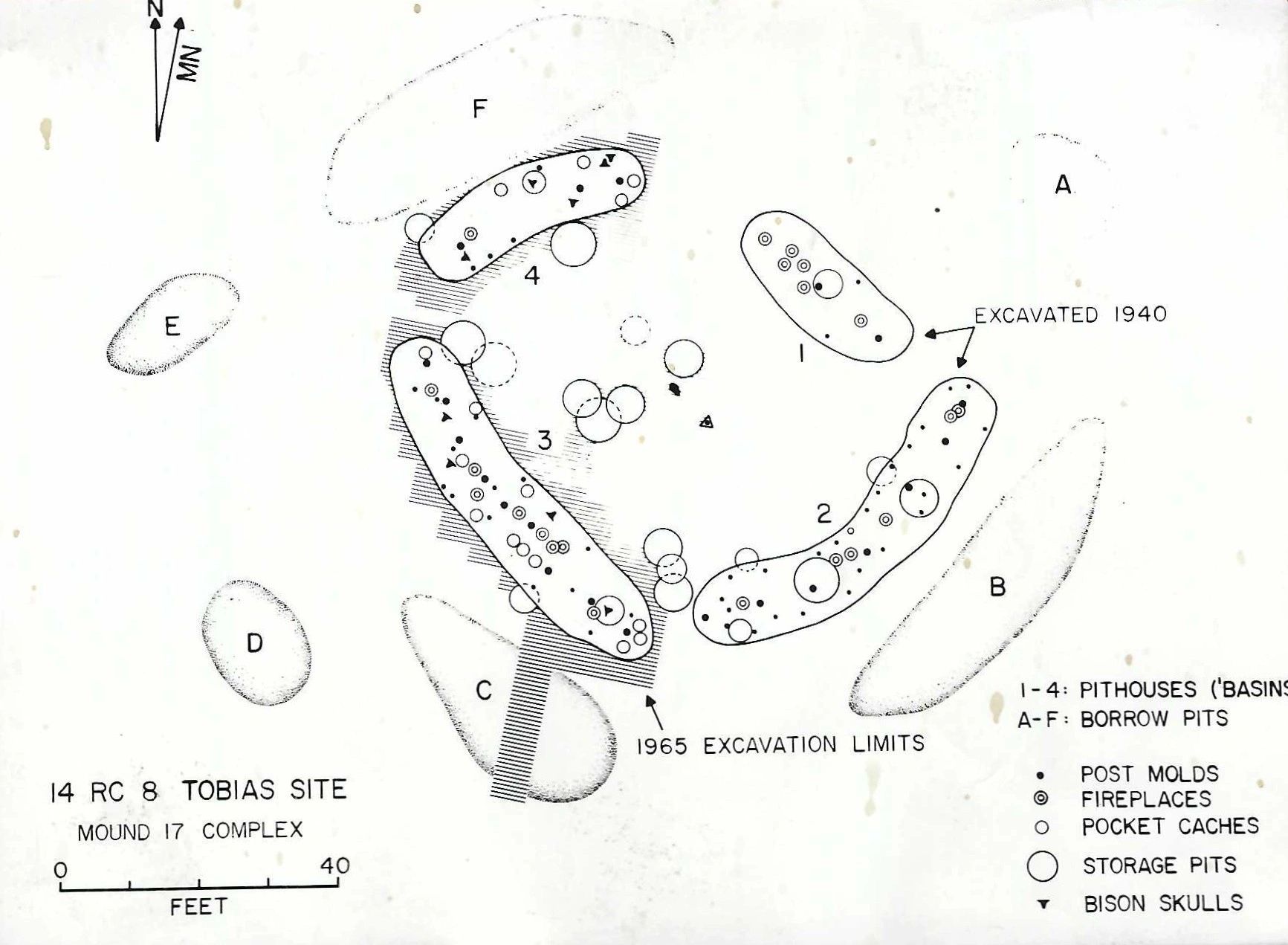 Tobias Site Mound archaeological map